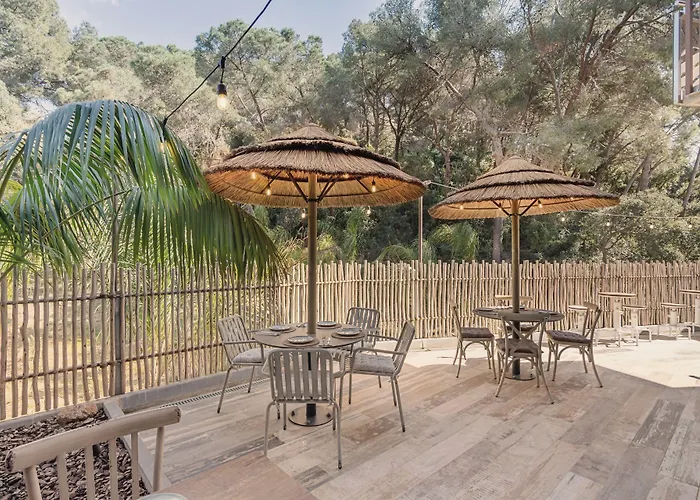 Hotel Casa Coco Boutique & 4*s - Adults Only